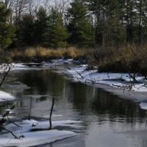 Meet your Posher, Sherrill